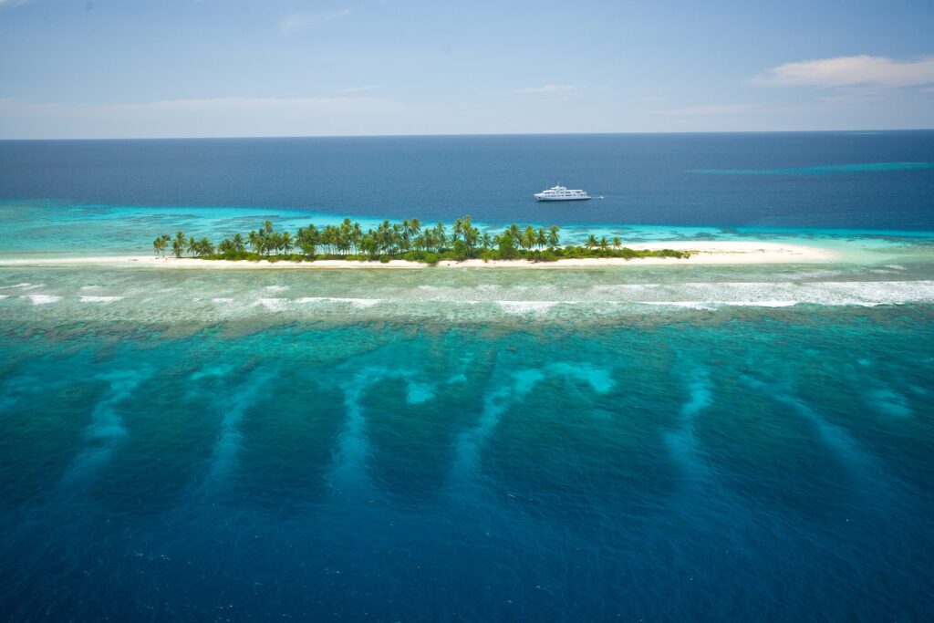 Lauren, Damien and Leah