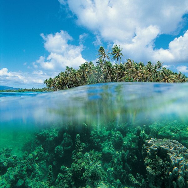 Gzo Solomon Islands - Getty Images