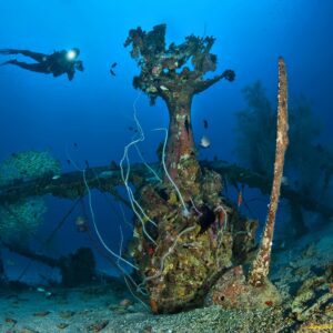 Solomon Islands Dive Package