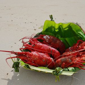 Na Finua Island Retreat Solomon Island Holidays